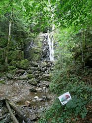 Cascades de la Goutte des Saules