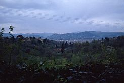 Assisi