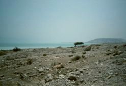 the Dead Sea Valley
