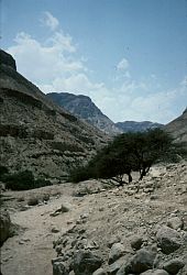 wadi