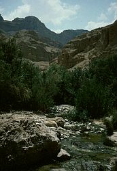 wadi below Mapal David