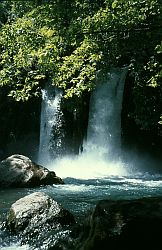 Banias waterfall